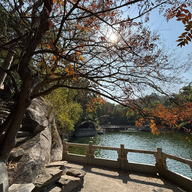 金灣金山公園：陽光下的自然☀️