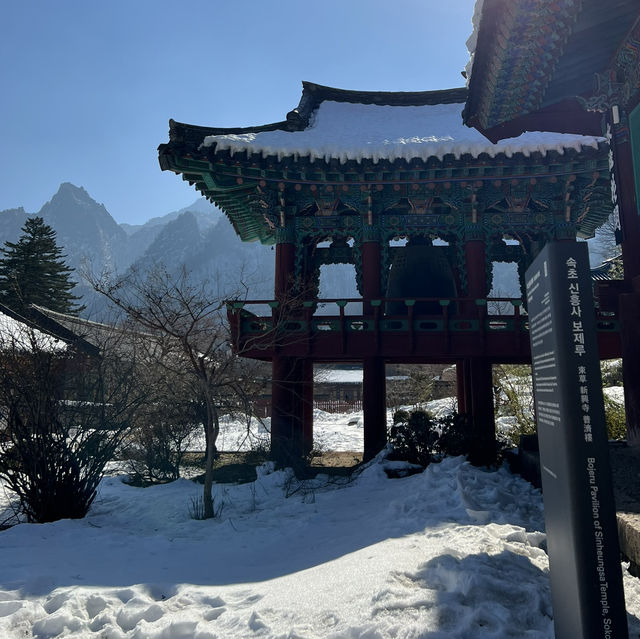 겨울여행지 추천! 설산이 멋진 설악산케이블카 여행🏔️