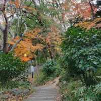 Ueno Onshi Park