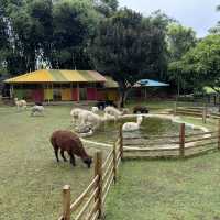 Little known place in Indonesia