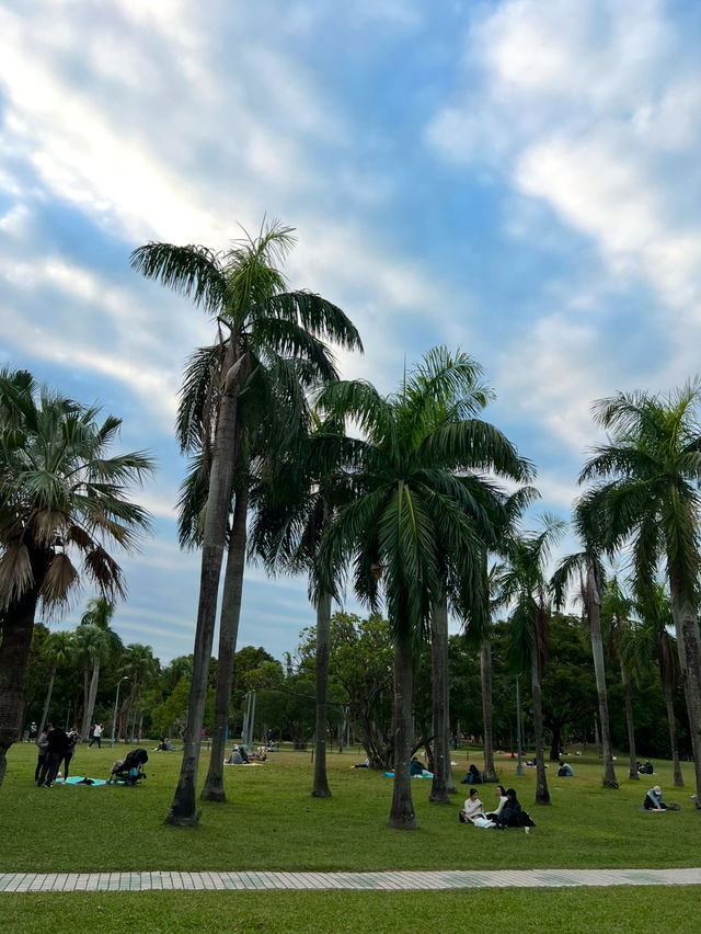 인생샷 100장은 거뜬히 남기는 타이베이 예쁜 공원 총집합!🌳🌴