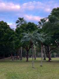 인생샷 100장은 거뜬히 남기는 타이베이 예쁜 공원 총집합!🌳🌴