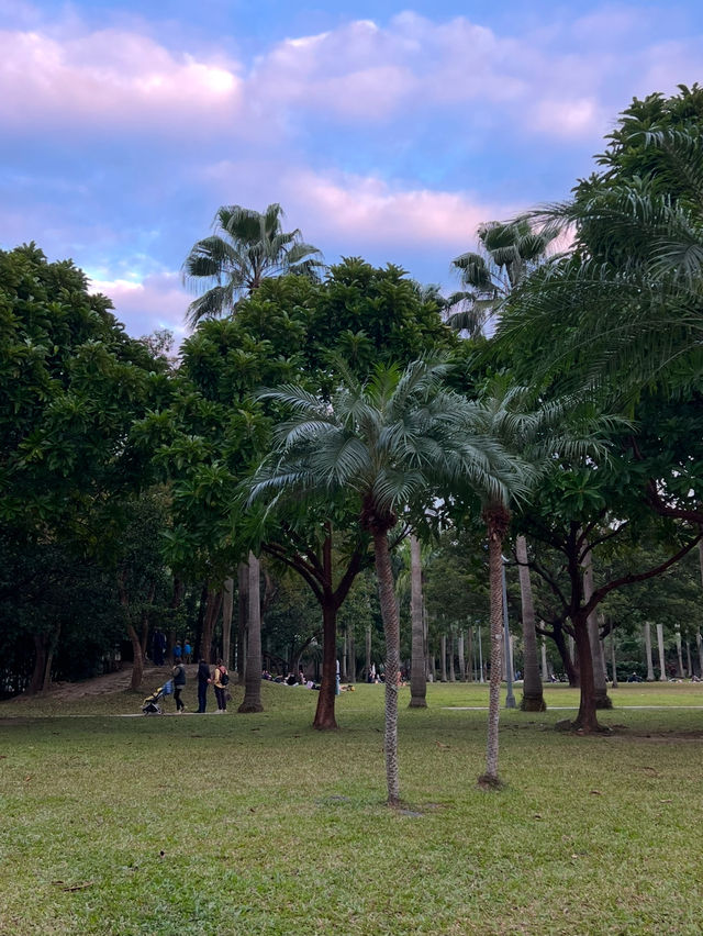 인생샷 100장은 거뜬히 남기는 타이베이 예쁜 공원 총집합!🌳🌴