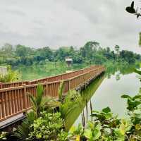 Wildlife Wonders at The Mandai Boardwalk!