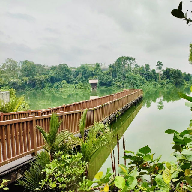 Wildlife Wonders at The Mandai Boardwalk!