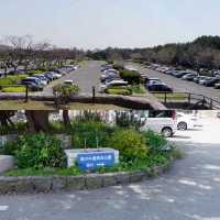 福岡好去處