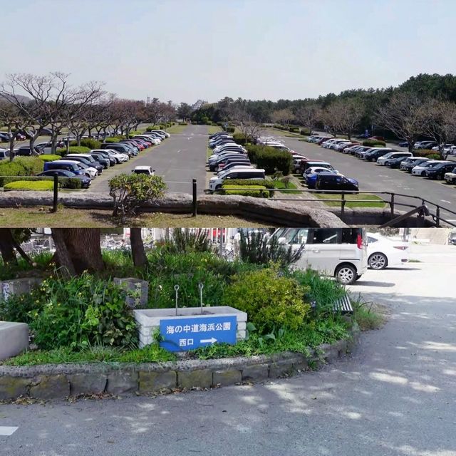 福岡好去處
