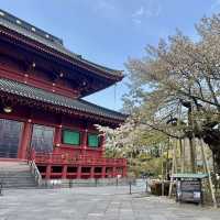 世界文化遺產 - 日光輪王寺