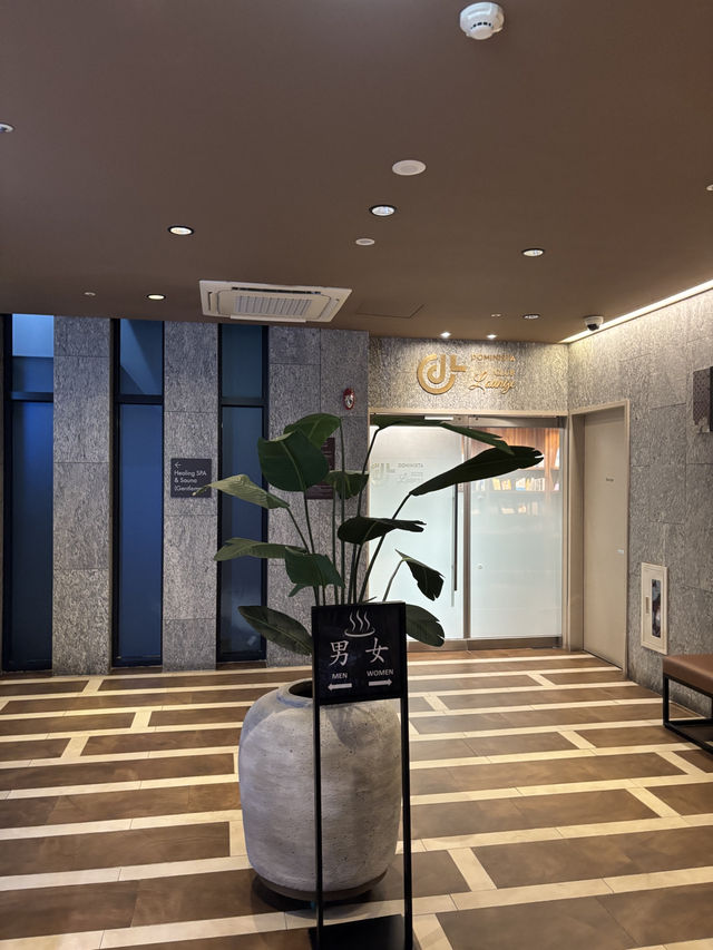 도미인강남에서 즐기는 설날 여행지🤩