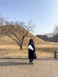 경주 가면 꼭 가야할 ‘경주대릉원’