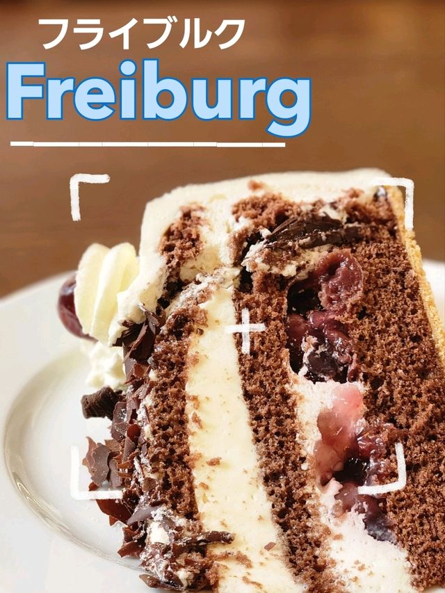 学生の町！ドイツ・フライブルク🇩🇪