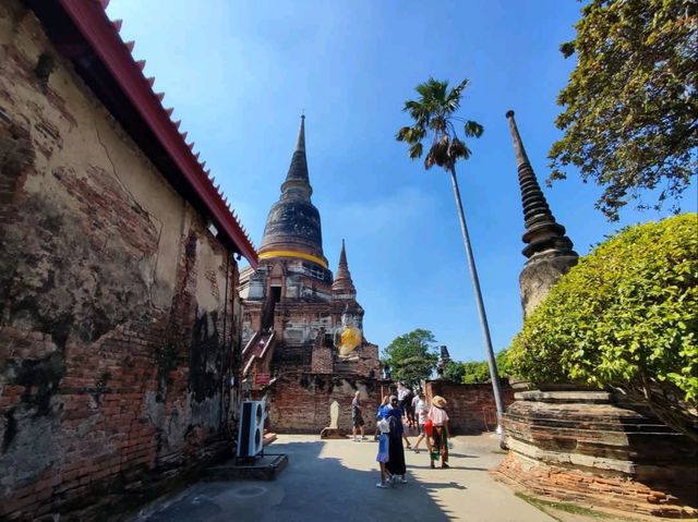 วัดเก่าแก่อยุธยา เจดีย์สูงที่สุดในอยุธยา เจดีย์ชัย
