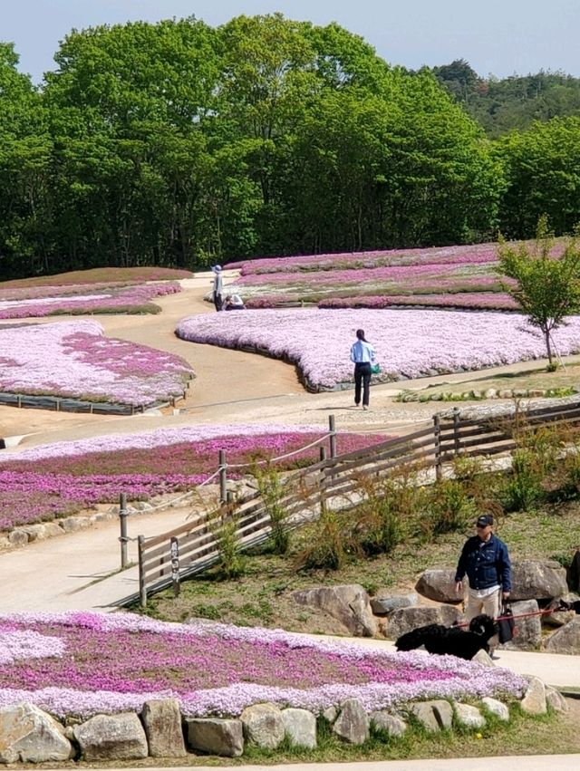 【花の里　世羅高原】