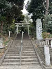 東京神社遊記：代代木八幡宮！