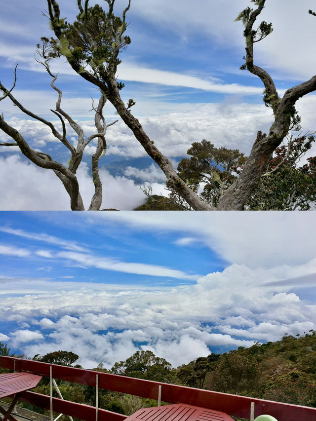 A Tranquil Haven Above the Clouds: Sutera Sanctuary Lodges’ Laban Rata 