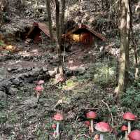 🏕️포토존 가득 제주 서쪽 가볼만한곳 추천 “산양큰엉곶”