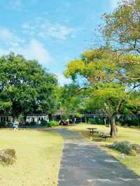 Innisfree濟州小屋 濟州島限定品及美味餐點