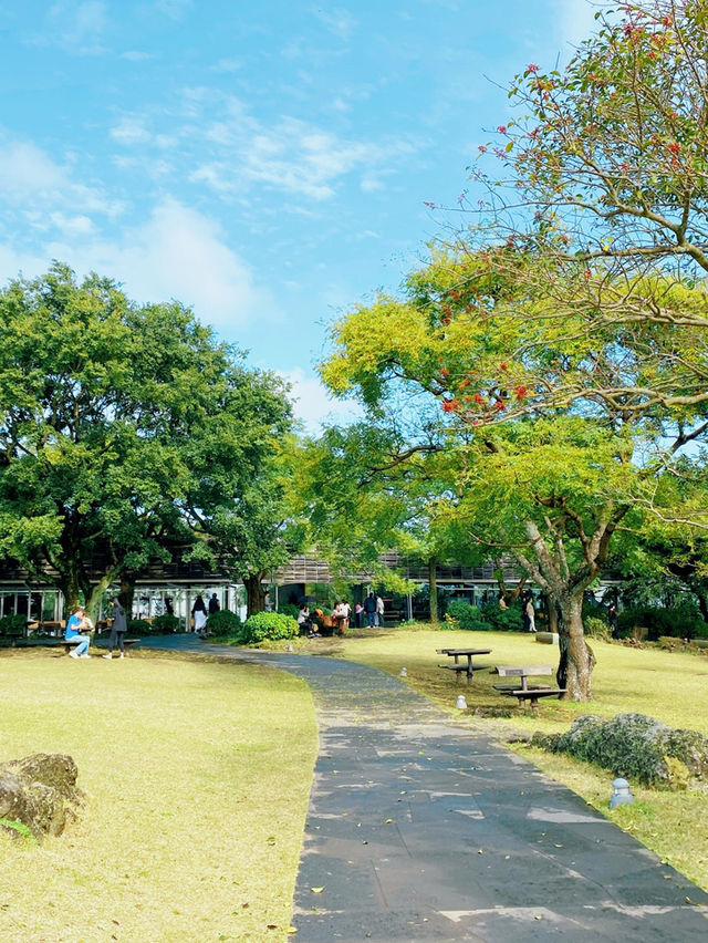 Innisfree濟州小屋 濟州島限定品及美味餐點
