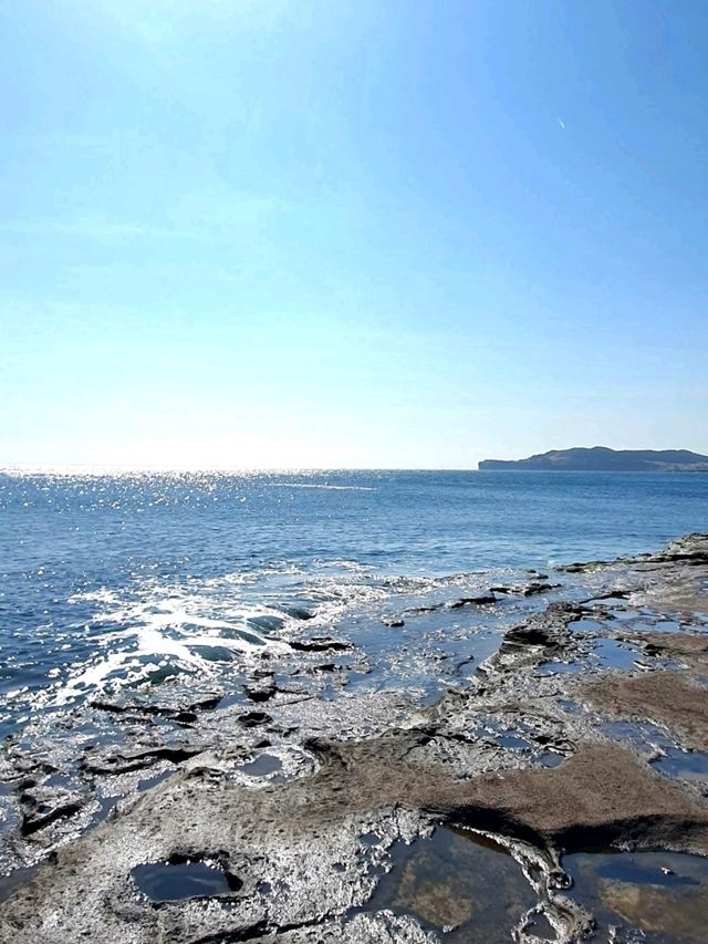 푸른 바다와 거친 절벽이 만든 감동! 🌊 사계해안에서 힐링 여행 ✨