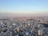 Sky-High Views at Sunshine 60 Observatory in Tokyo