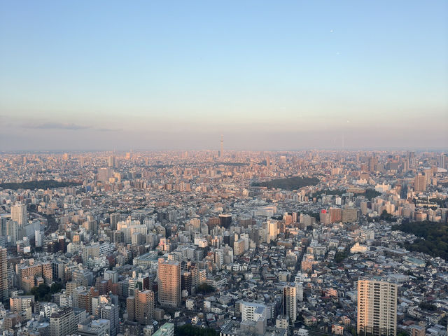 Sky-High Views at Sunshine 60 Observatory in Tokyo