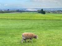 A Scenic Escape with History