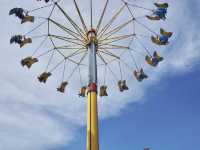 Swooping Over the Sea: Ocean Park's Best Moments