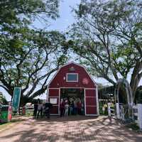 Fresh From the Farm: A Dairy Delight at Farm Fresh @UPM!