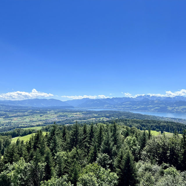 Celebrating A Summer Birthday in Zurich: Nature, Nostalgia, and New Adventures 🎂🌄