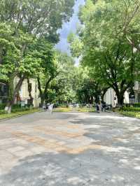 沙面島：探索廣州的歷史🏛️瑰寶💎與創新🔬之地