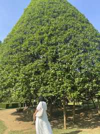 Royal botanical garden, Sri Lanka