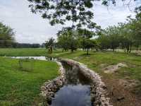 History Meets Adventure: Discovering TT5 and Its Fun Maze Park