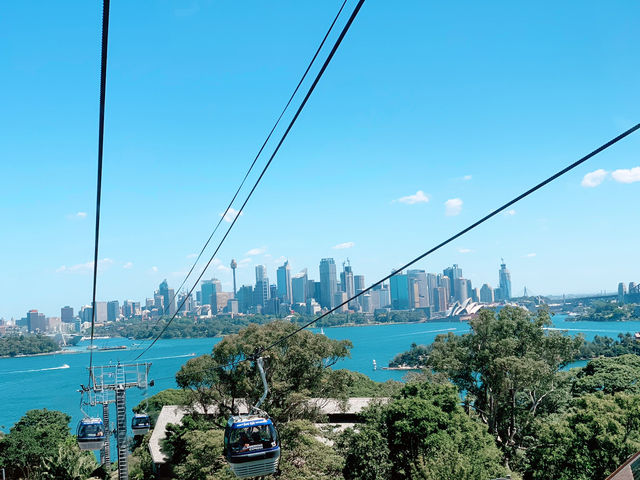 Taronga Zoo: A Wild Welcome with a Sydney View