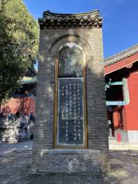 🇨🇳 Day Trip to Shaolin Temple: Where Kung Fu Legends Are Born
