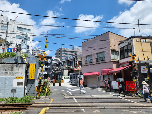도쿄여행