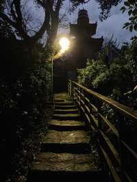 樟山寺漫遊-品茶、賞景與山林靜心之旅
