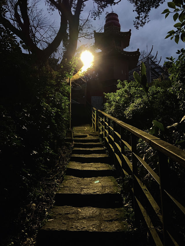 樟山寺漫遊-品茶、賞景與山林靜心之旅
