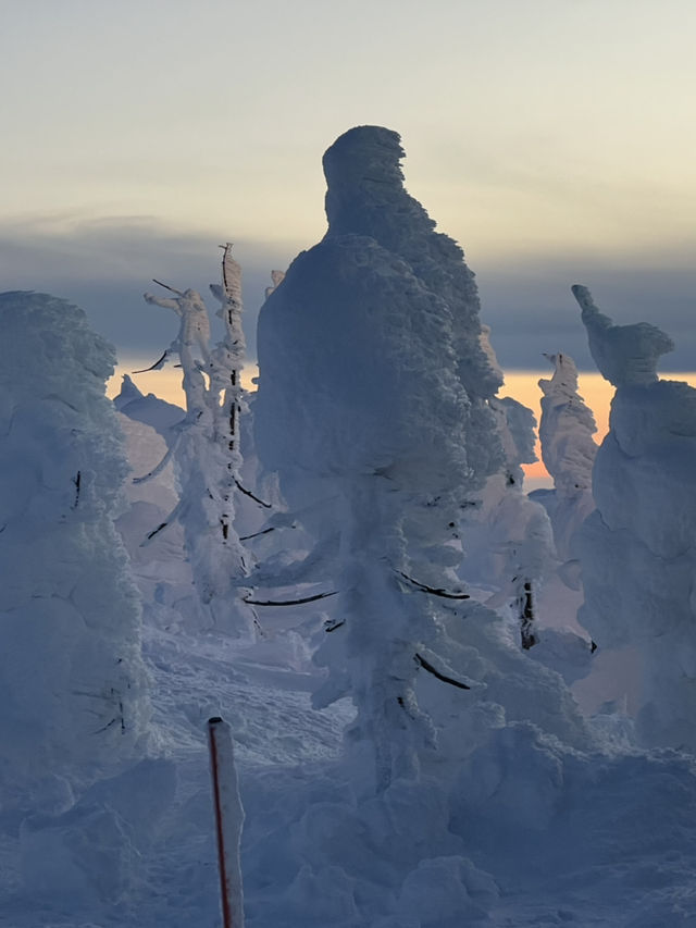 แพลนเดินทางไปเมือง Zao Onsen ดูปีศาจหิมะ