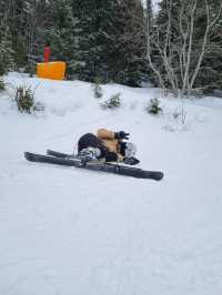 🏔️ Skiing Adventure in Åre: A 2-Day Getaway with Snow, Fun, and Maggie! ❄️