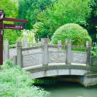 Discovering the Charm of Huanglongxi Ancient Town 🇨🇳