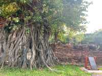 古都の遺跡群と異国情緒・アユタヤ歴史公園