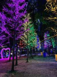 Enchanting Glow at Forest Light @ I-City