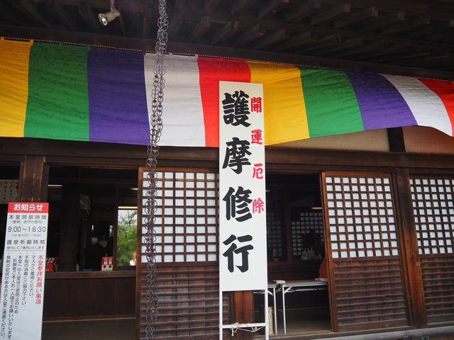 ⛩️ 喜多院｜意外發現的靜謐休憩地