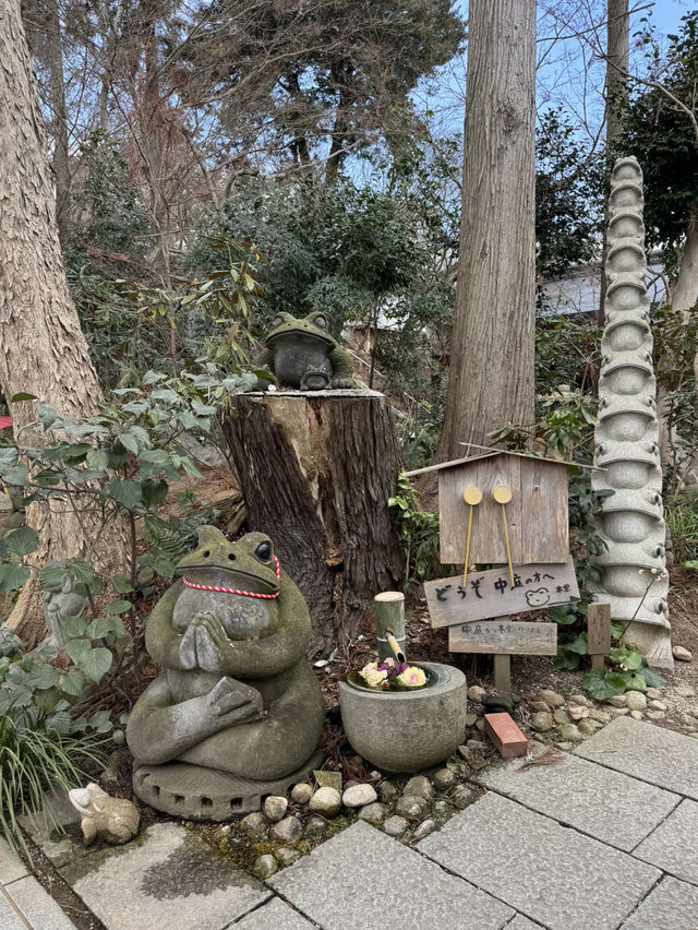 可愛すぎる！かえるの御朱印🐸