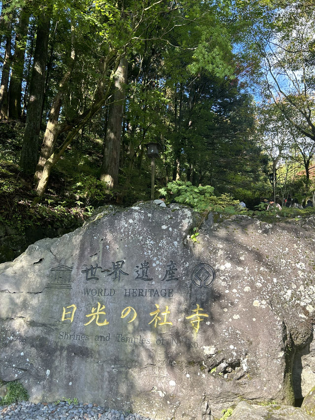 【日光東照宮】🍁ゆったり紅葉観光🍁