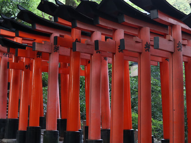A Journey Through the Thousand Torii: Hiking Fushimi Inari Shrine