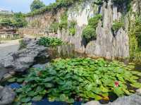 A Journey Through Suzhou's Classical Garden- Lingering Garden