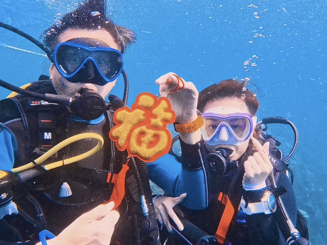 菲律賓墨寶潛水，必睇沙甸魚風暴，和到Oslob與鯨鯊游水