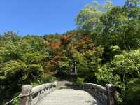 A Tranquil Stroll Through Eikando: Kyoto’s Hidden Gem