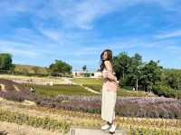 แพลนเที่ยว“เขาใหญ่” 1 DAY TRIP 🌸🌼